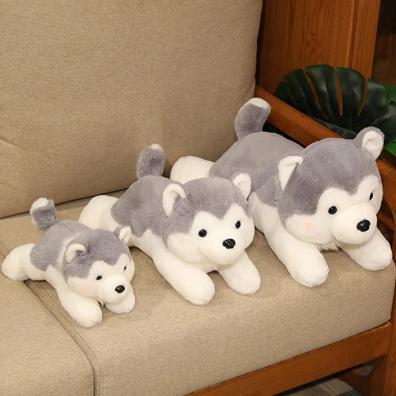 Set of four plush husky kawaii toys on a beige couch