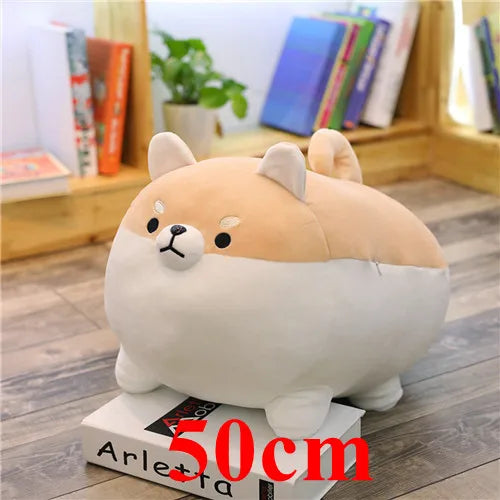 Corgi-shaped plush kawaii toy on a book with '50cm' label, in front of a bookshelf.